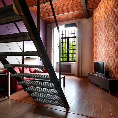 Dream Aparts - Lofty Scheiblera *